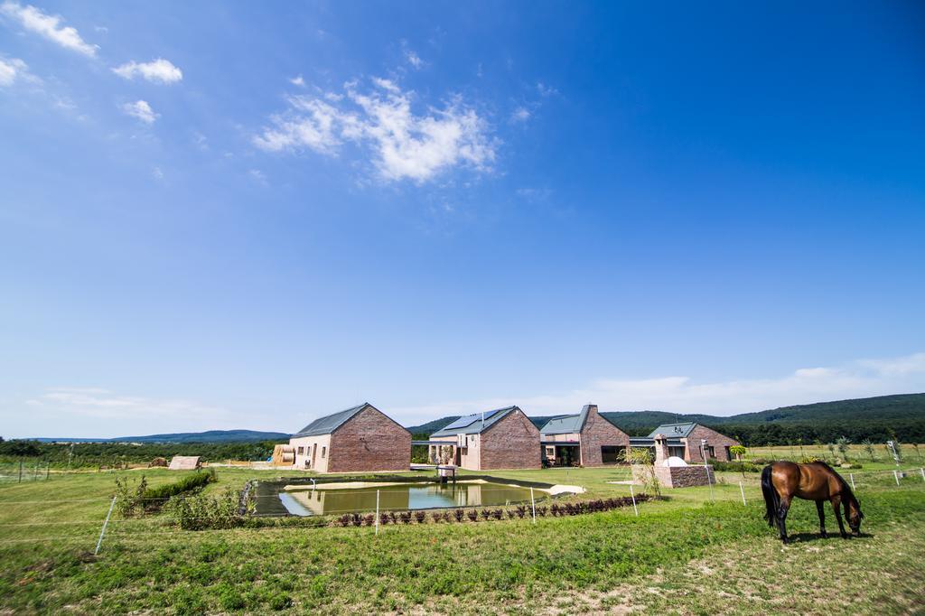 Villa Oeregtoelgy Vendeghaz Szár Exterior foto
